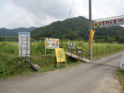 ひまわり園 迷路