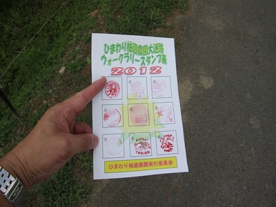 ひまわり園 迷路